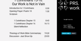 1 Corinthians Chapters 15-16: Our Work is Not in Vain (23 minutes)