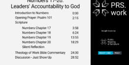 Numbers Chapters 17-20: Leaders' Accountability to God (29 minutes)